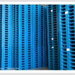 CV MALIK PUTRA KALBAR